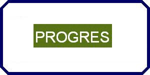 Usługi Geodezyjno-Kartograficzne PROGRES